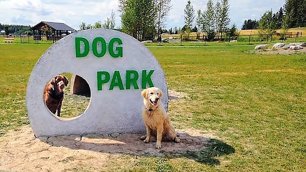 Dog Park at F.I.N.D. Park photo 1